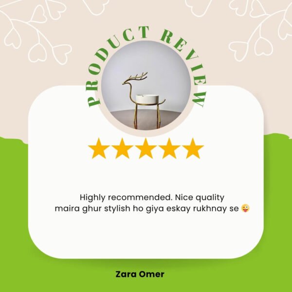 product review 8 (1)